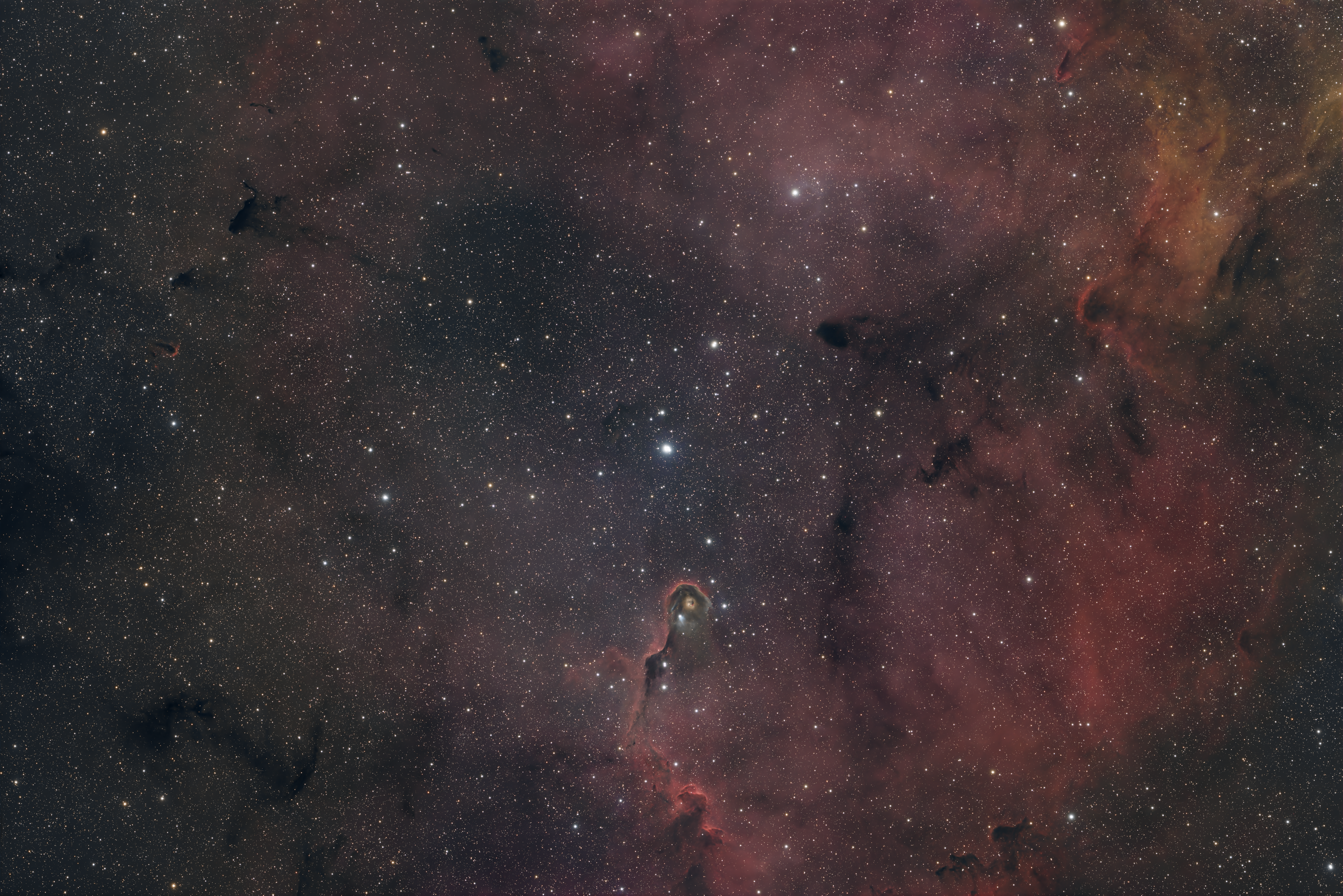 IC 1396