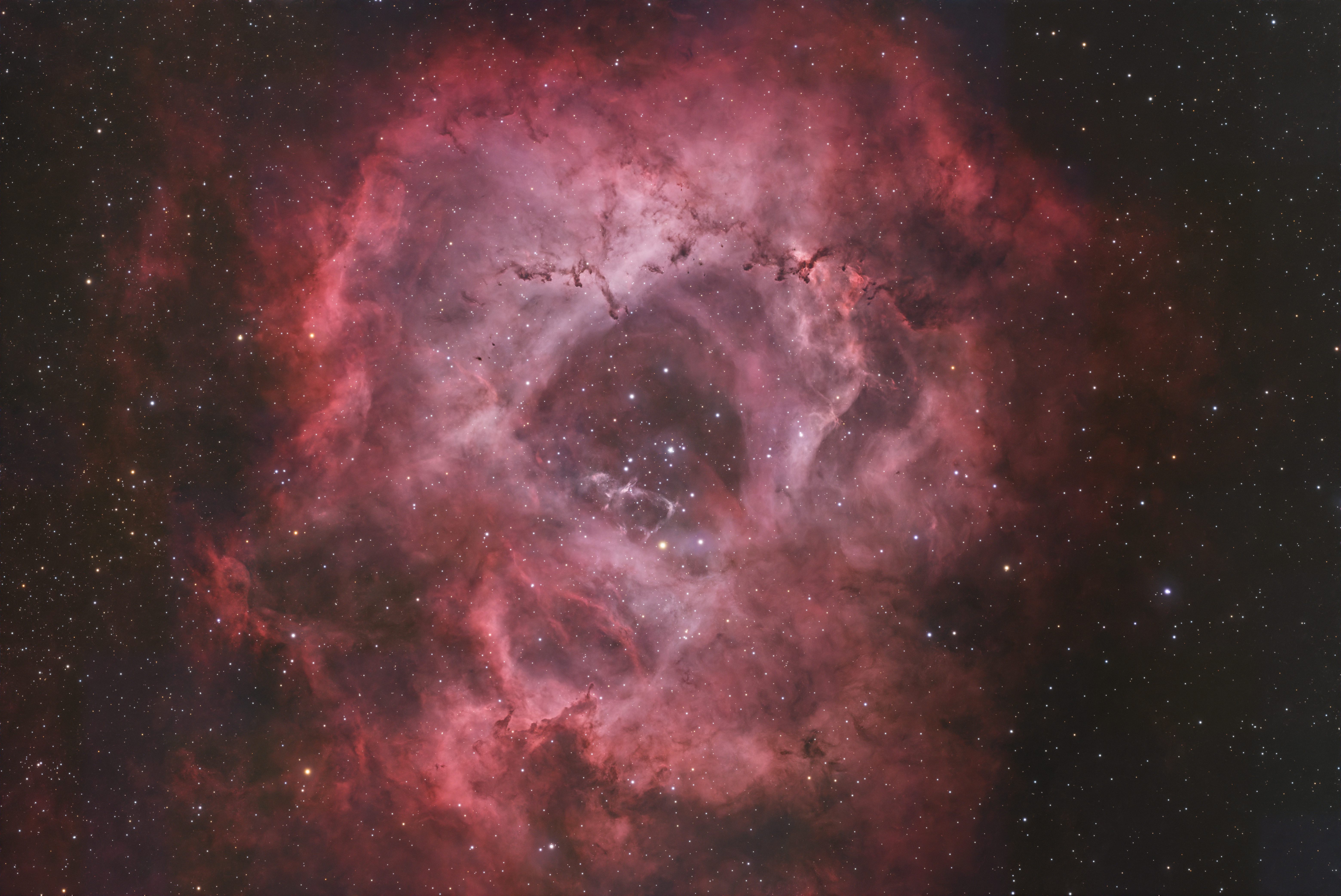 NGC 2237 - Rosette Nebula